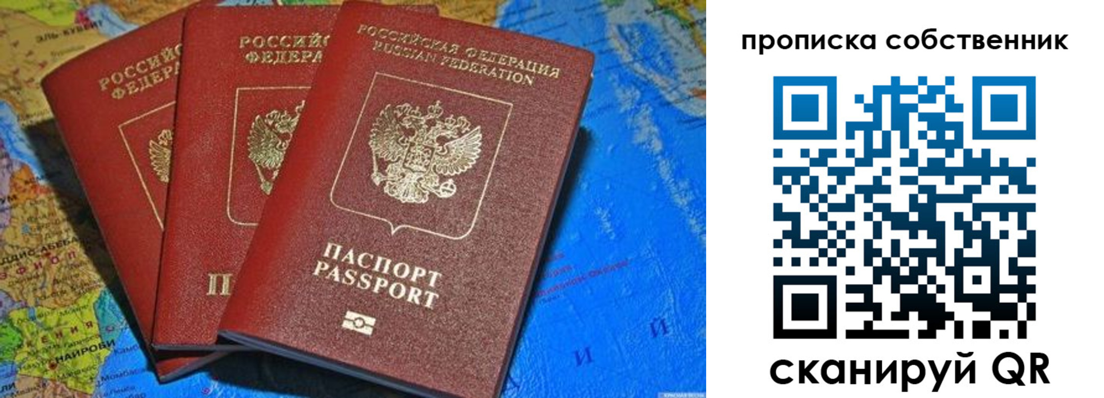 временная регистрация госуслуги в Димитровграде