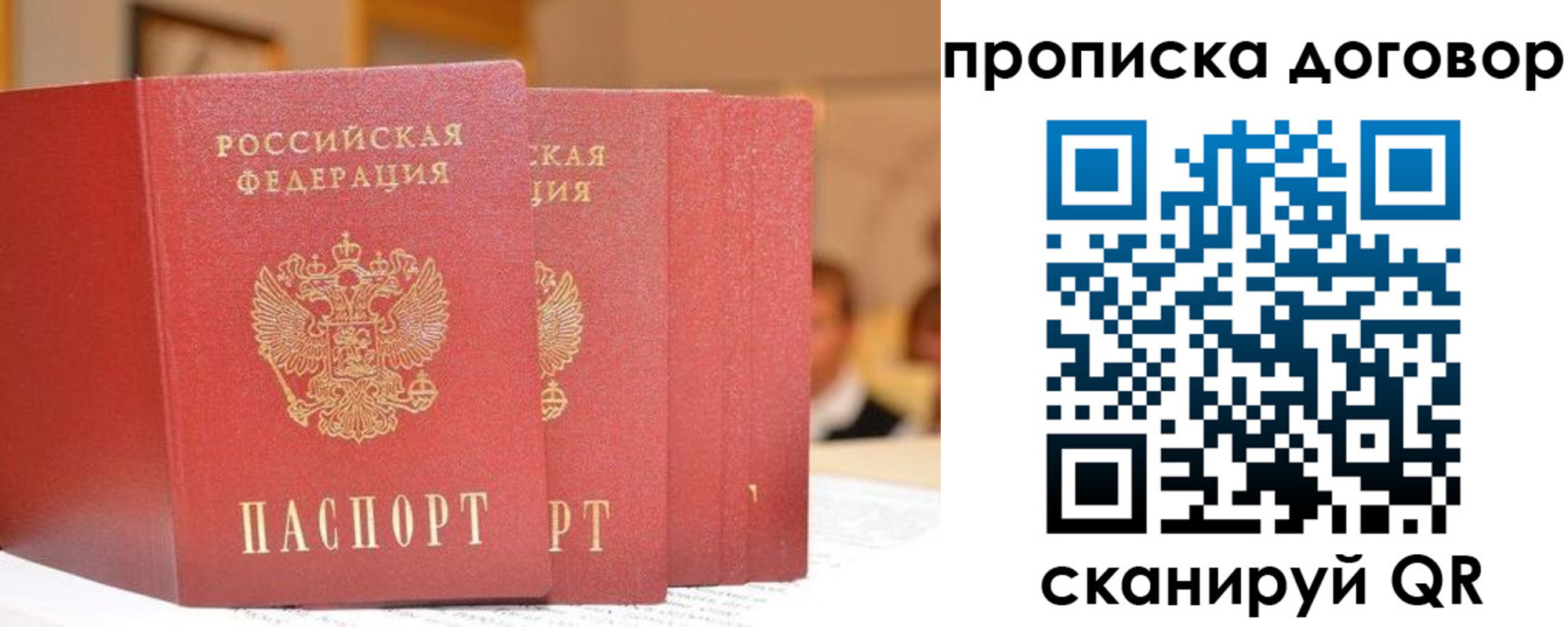 прописка в квартире в Димитровграде